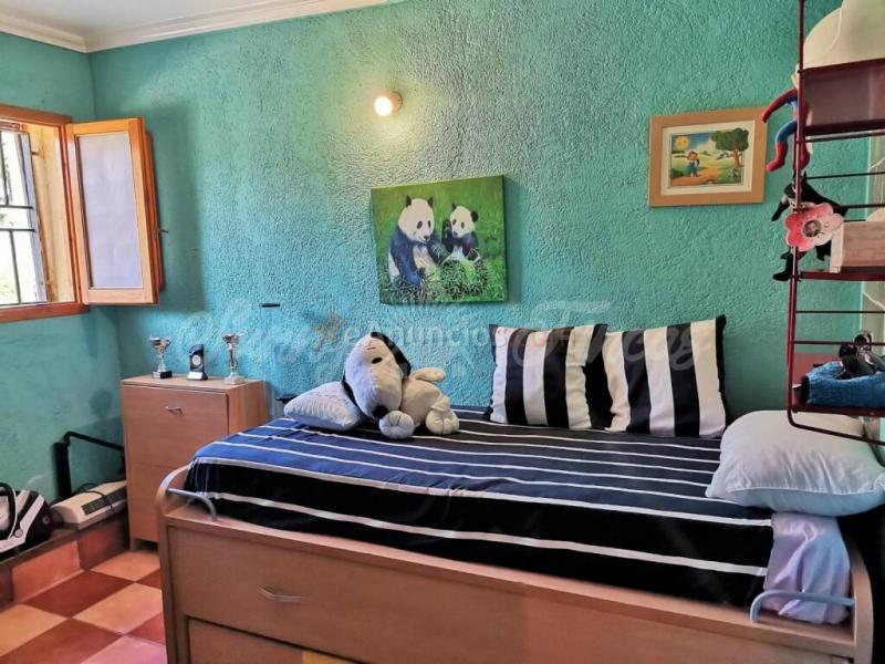 Casa de campo-Masía en Venta en Yecla Murcia