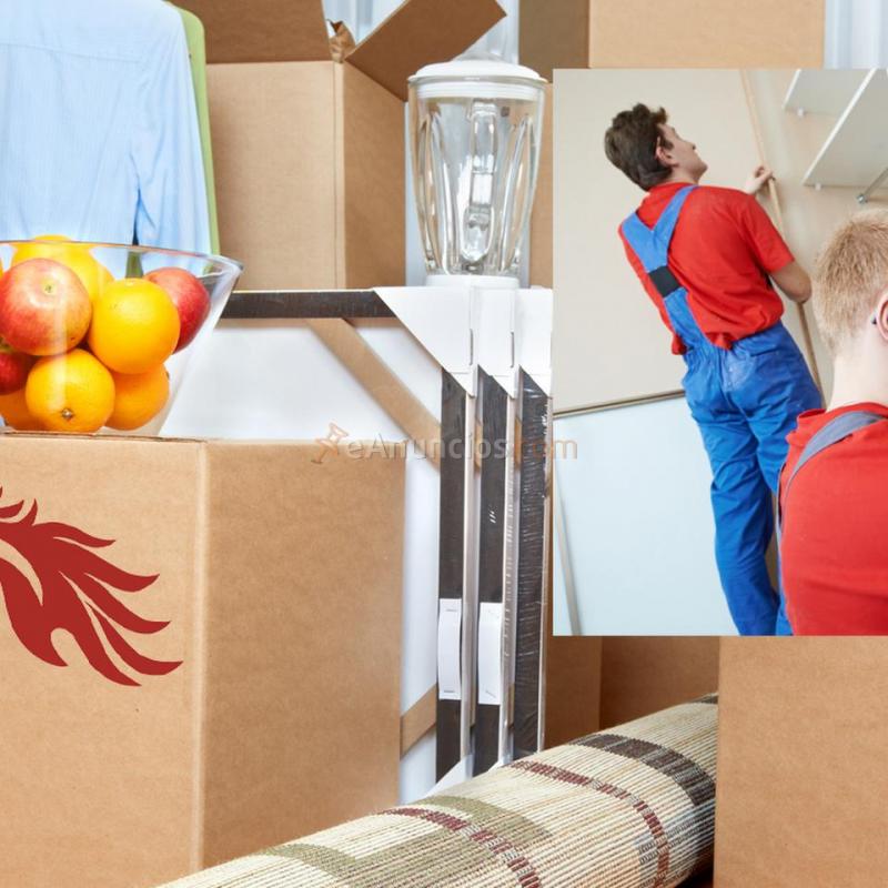 Mudanzas profesionales