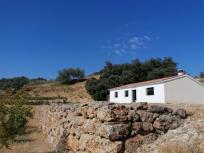 Suelo rústico en Venta en Ronda Málaga