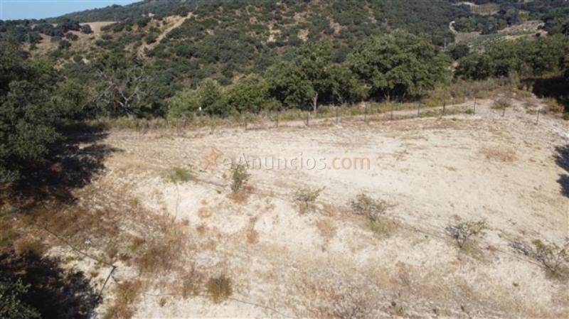 Suelo rústico en Venta en Ronda Málaga