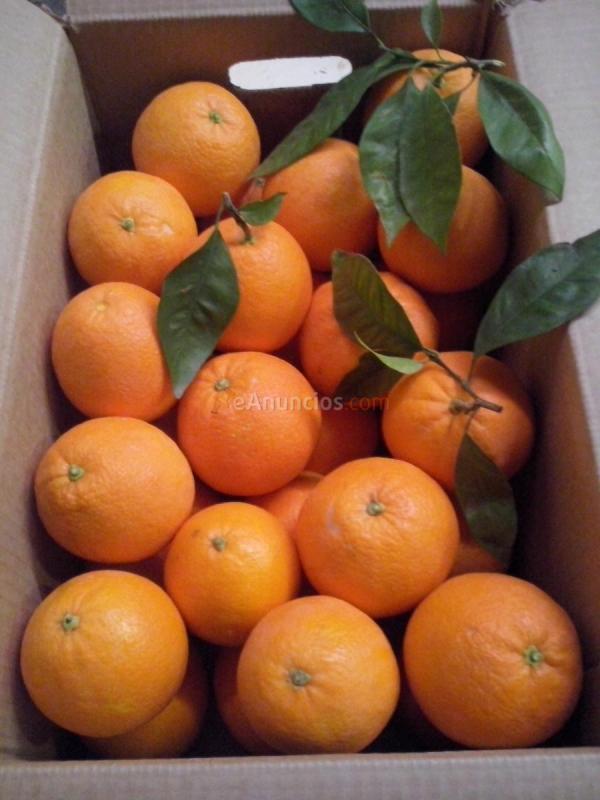 Naranjas 100 naturales