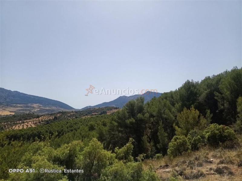 Parcela en Venta en Burgo, El Málaga