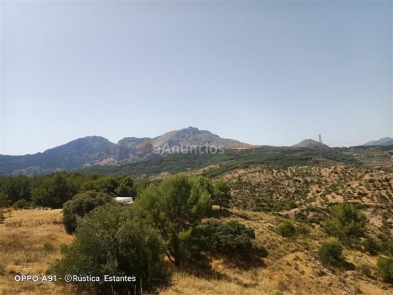 Parcela en Venta en Burgo, El Málaga