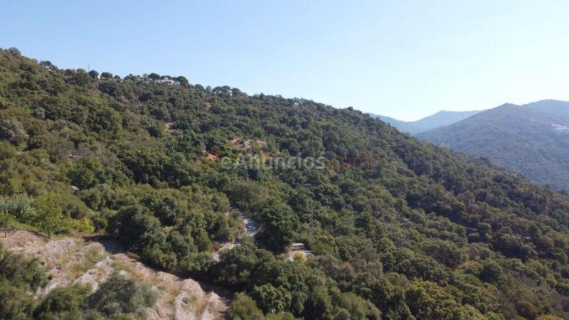 Suelo rústico en Venta en Benarraba Málaga