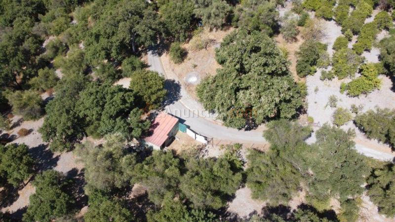 Suelo rústico en Venta en Benarraba Málaga