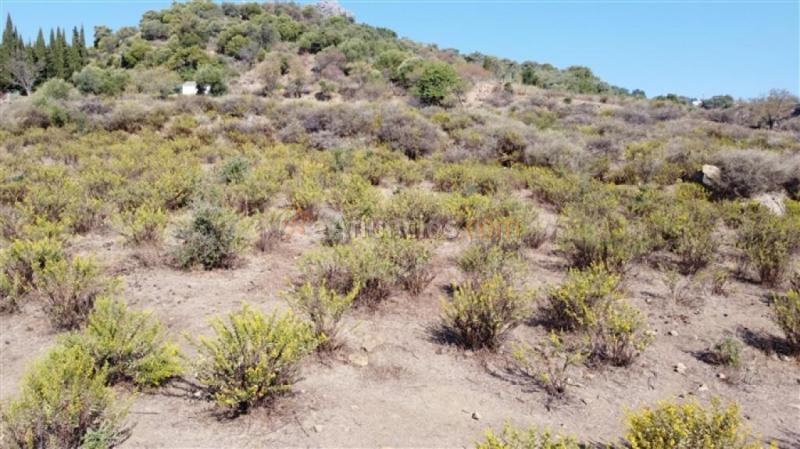 Suelo rústico en Venta en Gaucin Málaga