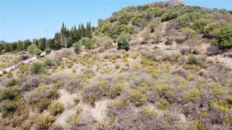 Suelo rústico en Venta en Gaucin Málaga