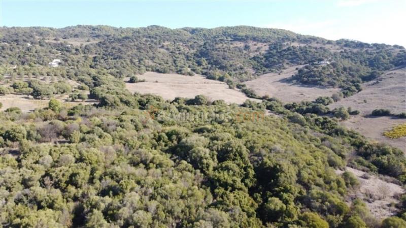 Parcela en Venta en Gaucín Málaga