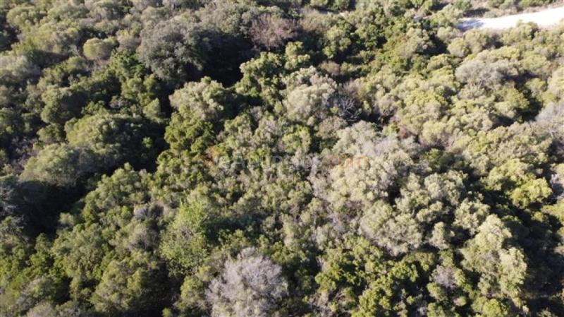 Parcela en Venta en Gaucín Málaga