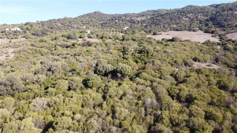 Parcela en Venta en Gaucín Málaga