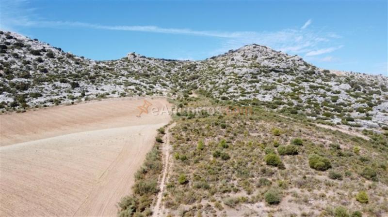 Parcela en Venta en Cuevas Del Becerro Málaga