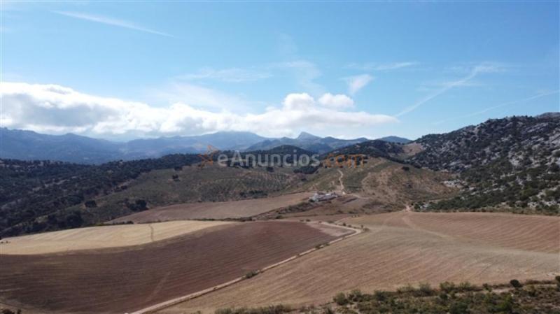 Parcela en Venta en Cuevas Del Becerro Málaga