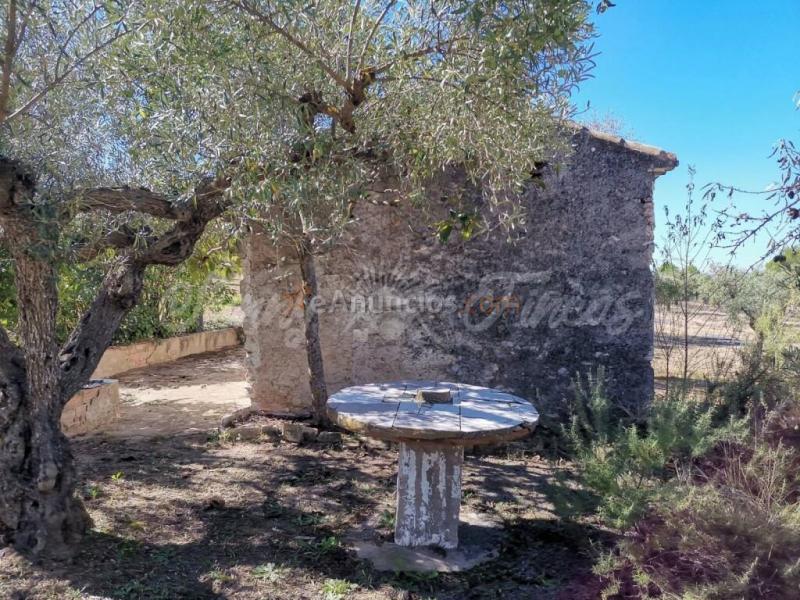 Casa de campo-Masía en Venta en Biar Alicante