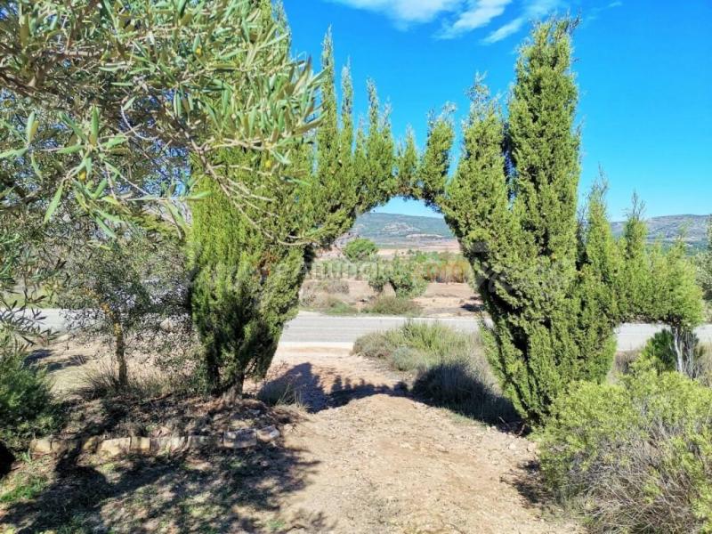 Casa de campo-Masía en Venta en Biar Alicante