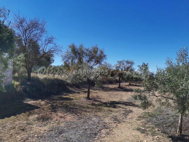 Casa de campo-Masía en Venta en Biar Alicante