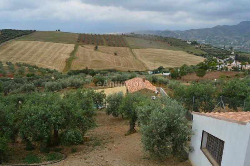 Casa de campo-Masía en Venta en Alora Málaga