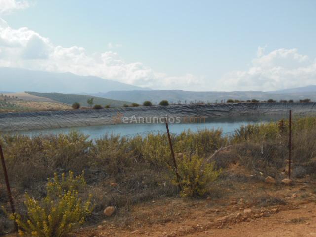 Venta finca Rustica con olivos