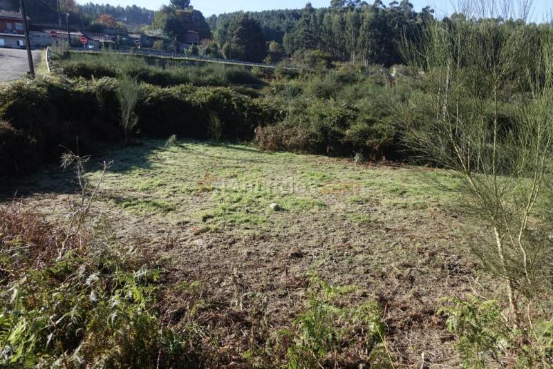 Suelo urbanizable en Venta en Fornelos De Montes (San Lourenzo) Pontevedra