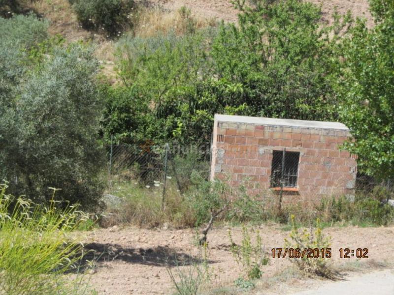 Casa de campo-Masía en Venta en Burgo, El Málaga