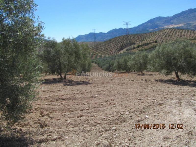 Casa de campo-Masía en Venta en Burgo, El Málaga