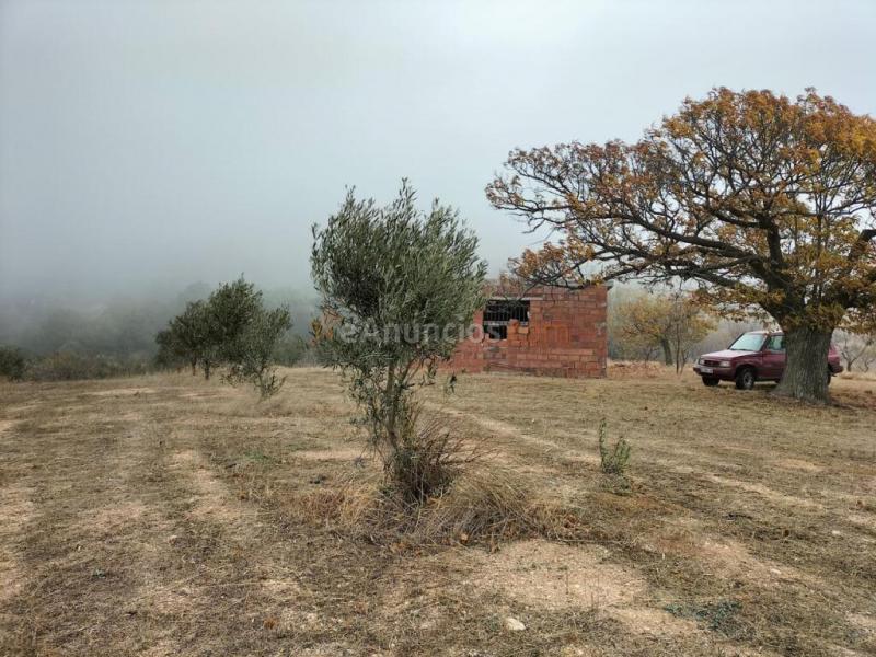 Casa Rústica en venta en Lecrín de 15800 m2