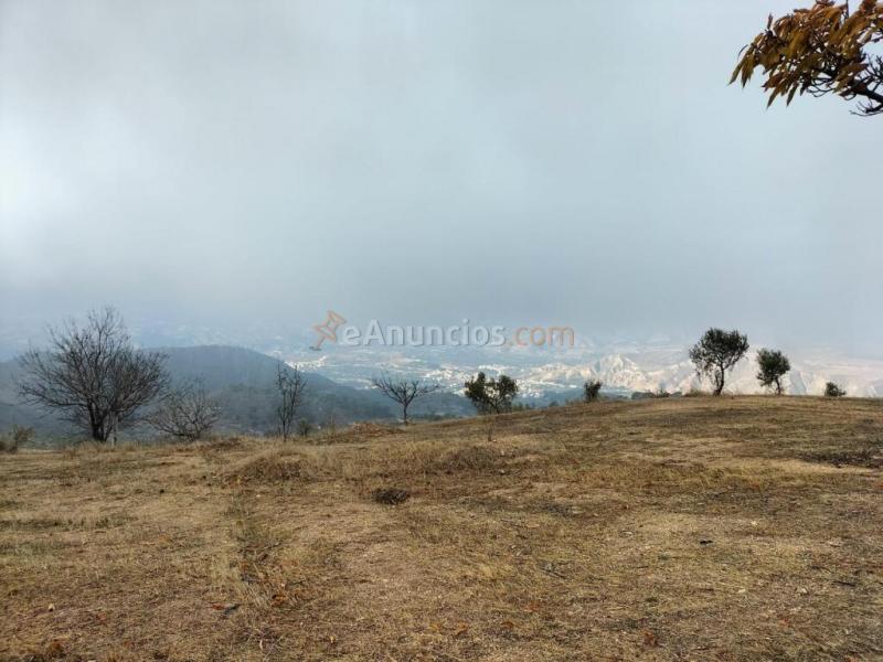 Casa Rústica en venta en Lecrín de 15800 m2