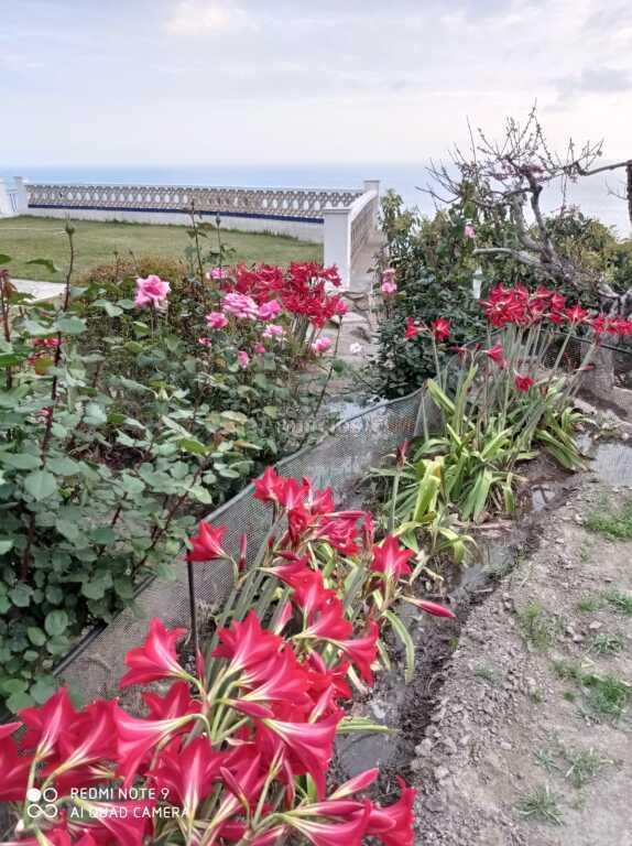 Casa-Chalet en Venta en Salobreña Granada