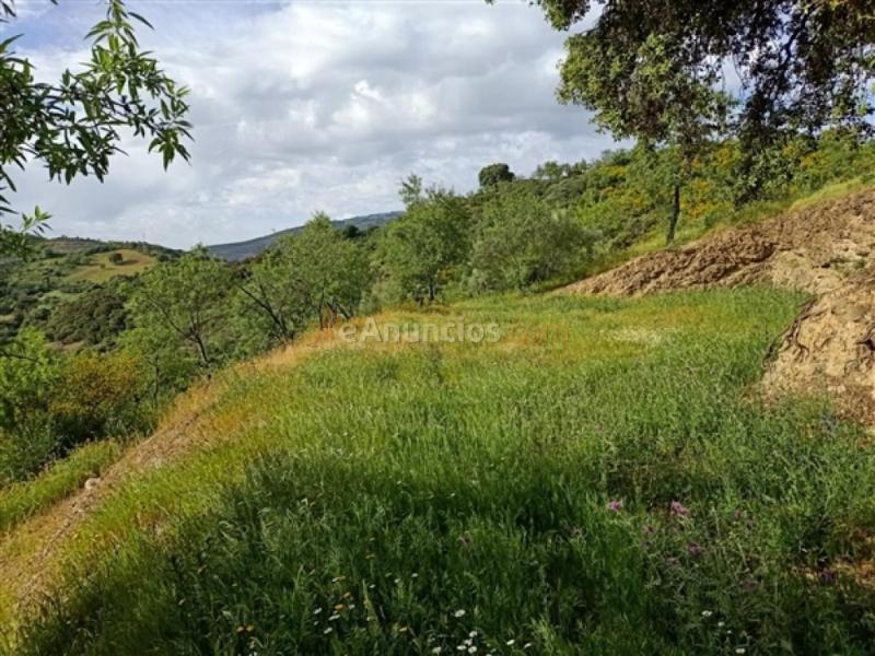 Parcela en Venta en Benadalid Málaga