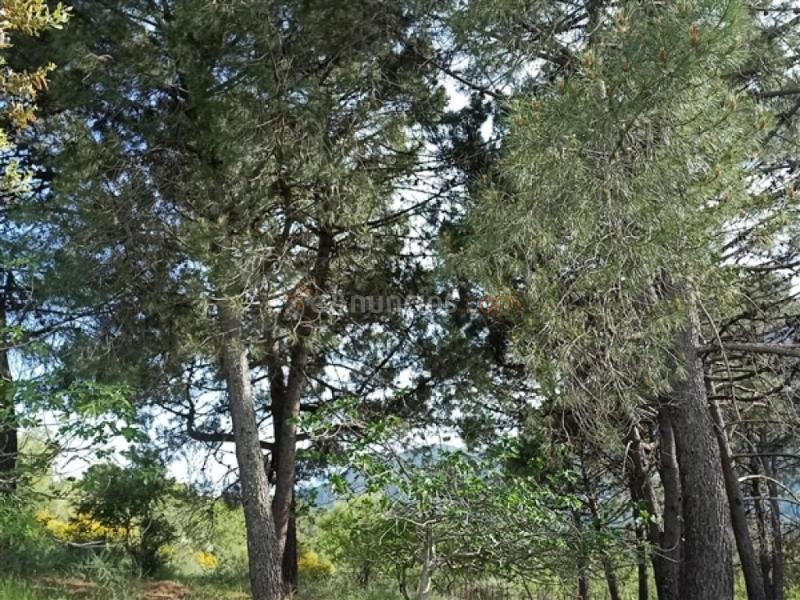 Parcela en Venta en Benadalid Málaga