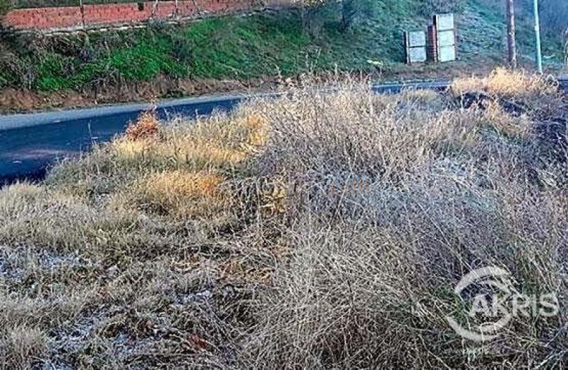 Terreno Urbano en el Sector del Beato, Olías del Rey