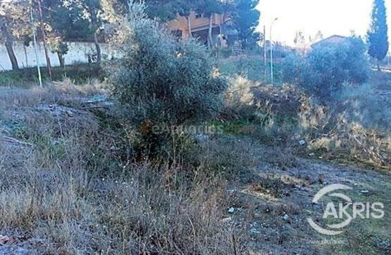 Terreno Urbano en el Sector del Beato, Olías del Rey