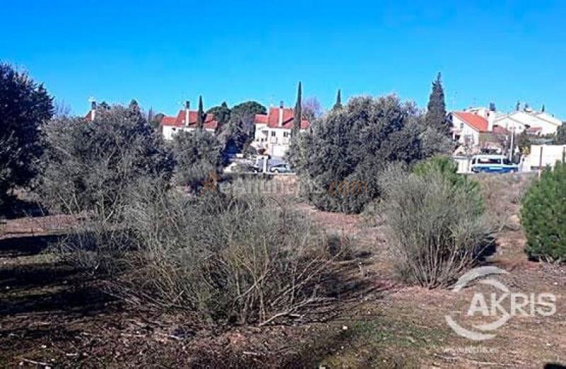 Terreno Urbano en el Sector del Beato, Olías del Rey