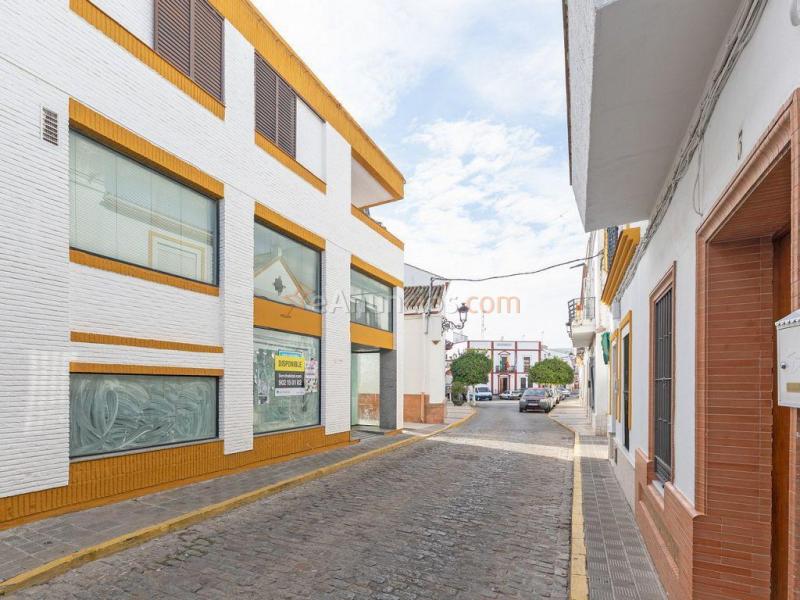 LOCAL COMERCIAL A PIE DE CALLE